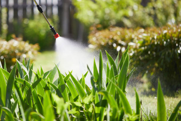 24/7 Emergency Wasp Removal experts in Winona, MN