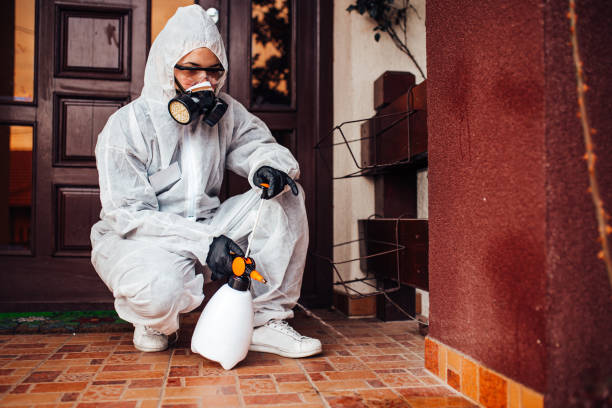 Reliable Wasp Removal contractor in Winona, MN by Show Me Pest Control